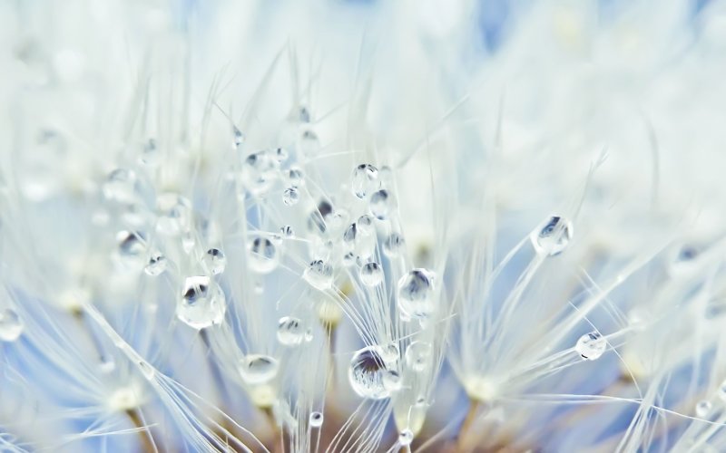 Этилгексил Стеарат натуральный эмолент  